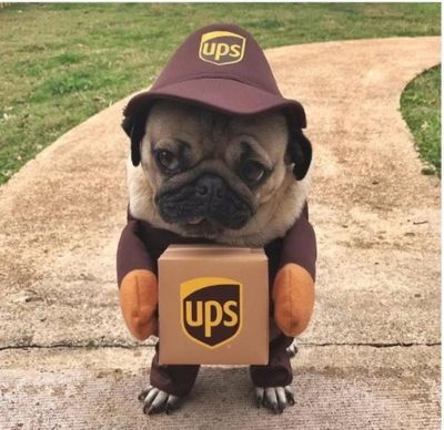 UPS joke.jpg