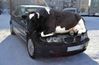 COW.jpg