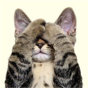 cat_no_see.jpg