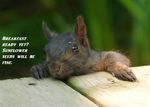 Tree Rat 2.jpg