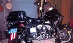 Elvira at Show TO-3 resized.jpg