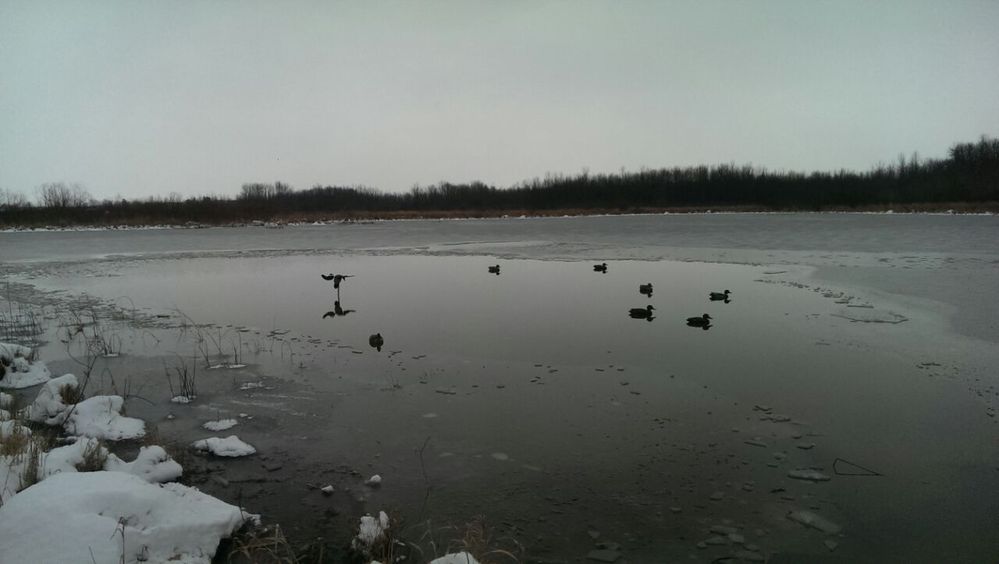 IMG-20141115-WA0004.jpg