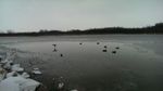 IMG-20141115-WA0004.jpg