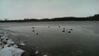 IMG-20141115-WA0004.jpg