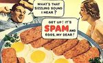 spam.jpg