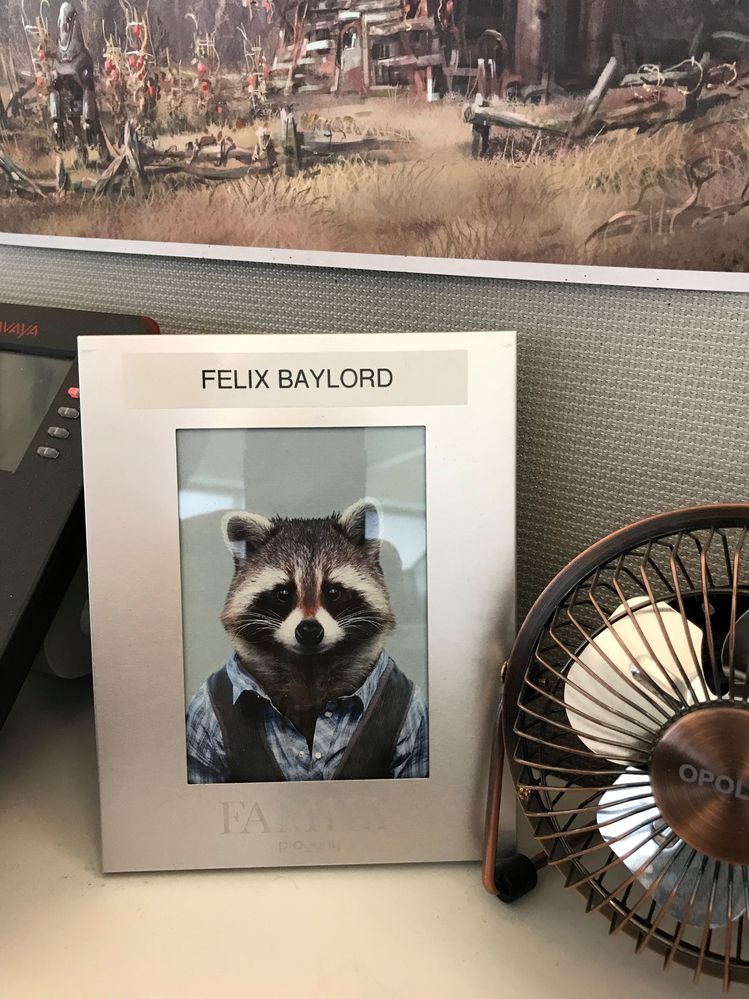 This is Felix Baylord, the traveling Raccoon. He makes the office rounds here when someone has a particularly good idea. Currently he is mine for making my manager laugh at a joke.