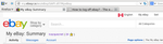 Screenshot-My eBay Summary - Mozilla Firefox - abridged.png