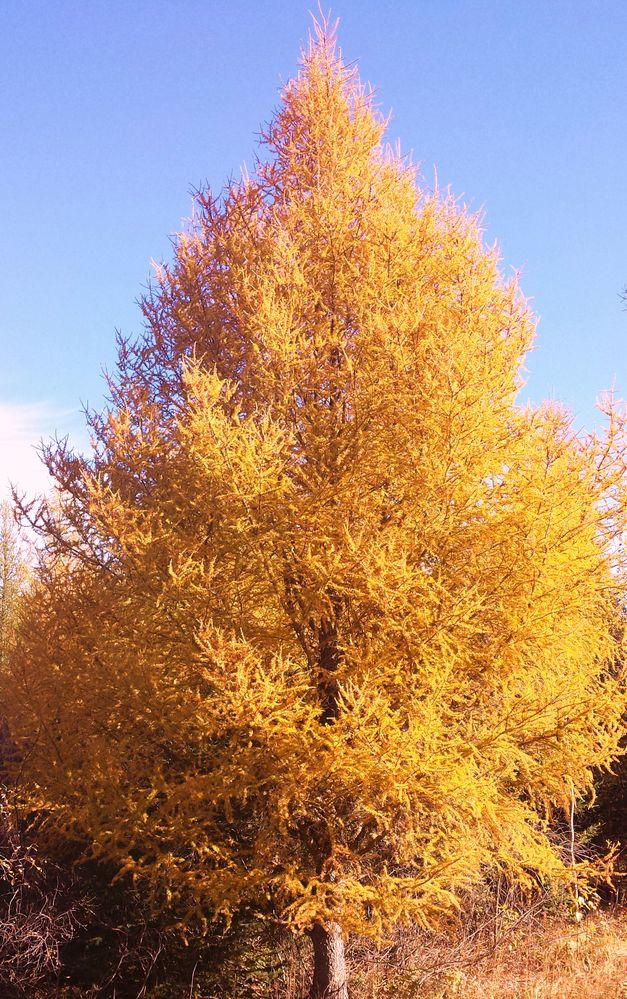 2013-10-06 11.41.18.jpg