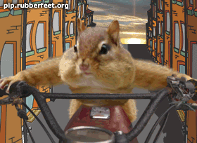 965337086.gif
