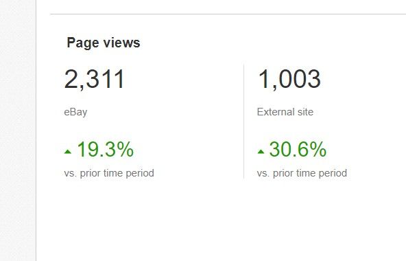Jan 2021 Page Views.jpg