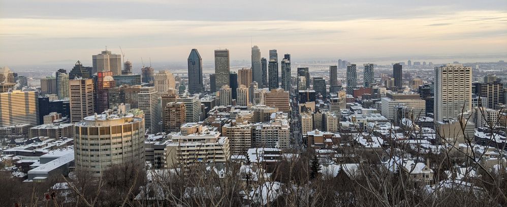 The view from Mount Royal, Feb 2022