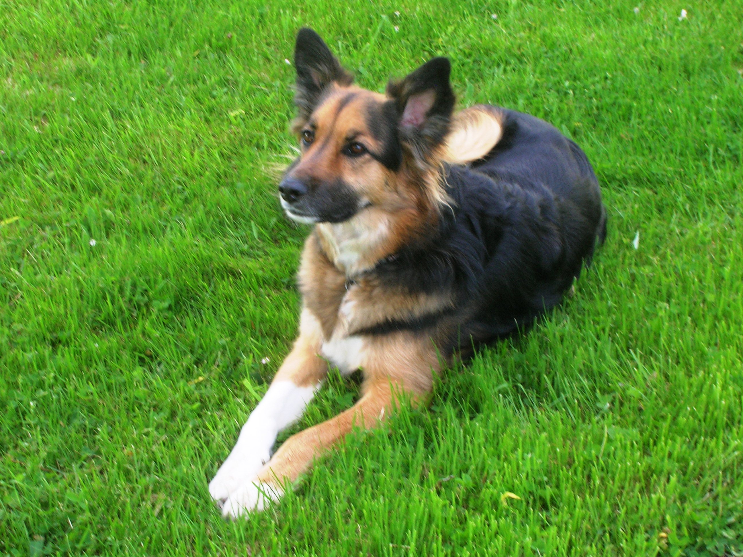DSCN8563.JPG