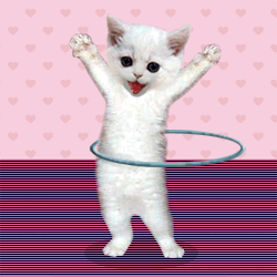 hulakitty-1.gif
