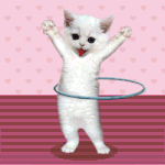 hulakitty-1.gif