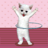 hulakitty-1.gif